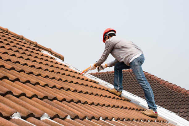 Best Sheet Metal Roofing  in Kearney Park, MS